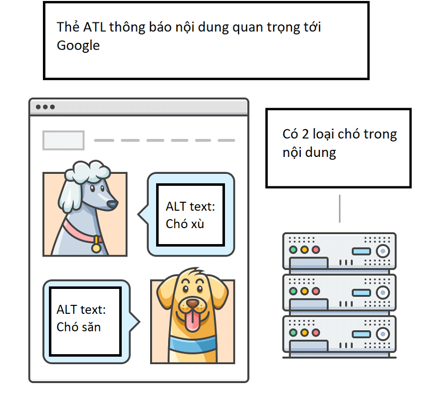 Thẻ ALT Hình Ảnh Trong Seo